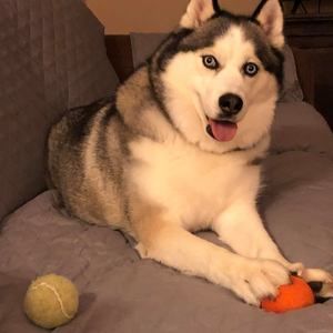 Meet your Posher, Gina